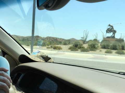 Arizona... Home Again!