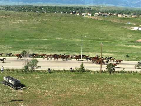 Wyoming